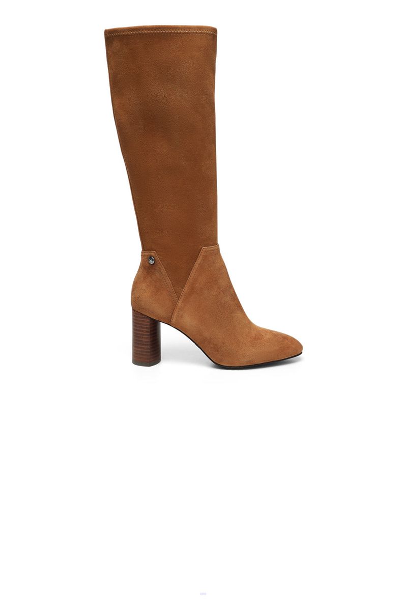 Brown Women's NYDJ Tivi Tall Boots | NZ 138PZKUCY