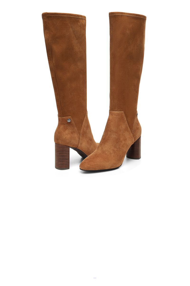 Brown Women's NYDJ Tivi Tall Boots | NZ 138PZKUCY